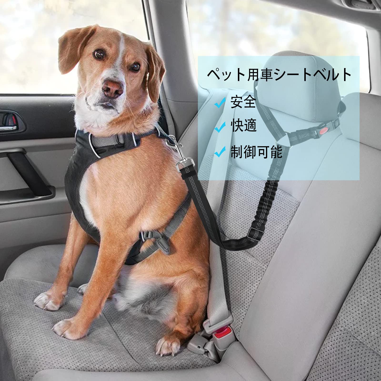 Amazon | FINGOOO 犬 シートベルト 車専用リード 安全ベルト ペット 猫