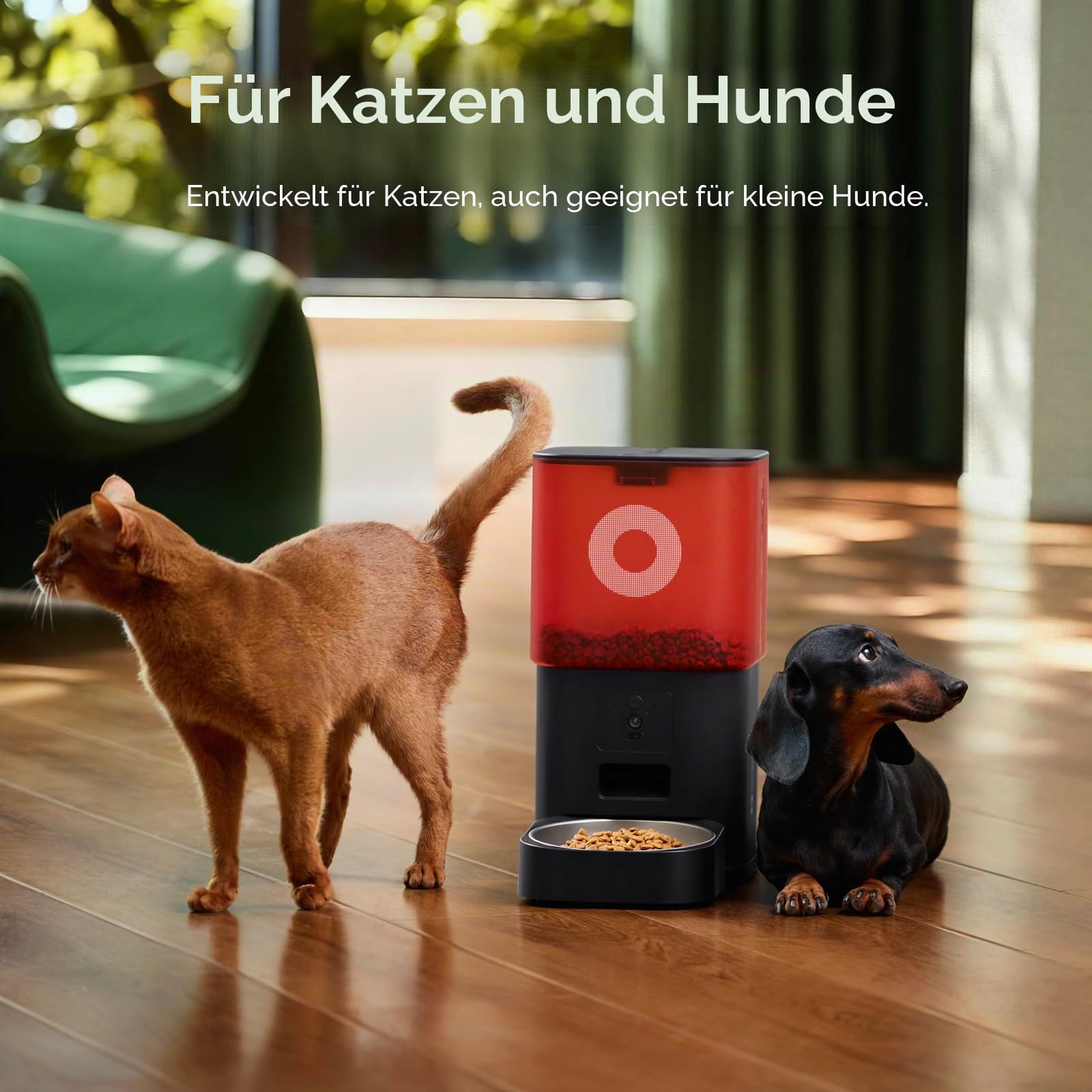 Futterautomat Katze mit Kamera 6L, Automatischer Katzen Futterautomat für Katzen und Hunde, App-Steuerung per WLAN, 2-Wege-Audio, Nachtsicht, Futterspender mit Edelstahlnapf (Schwarz und Rot)