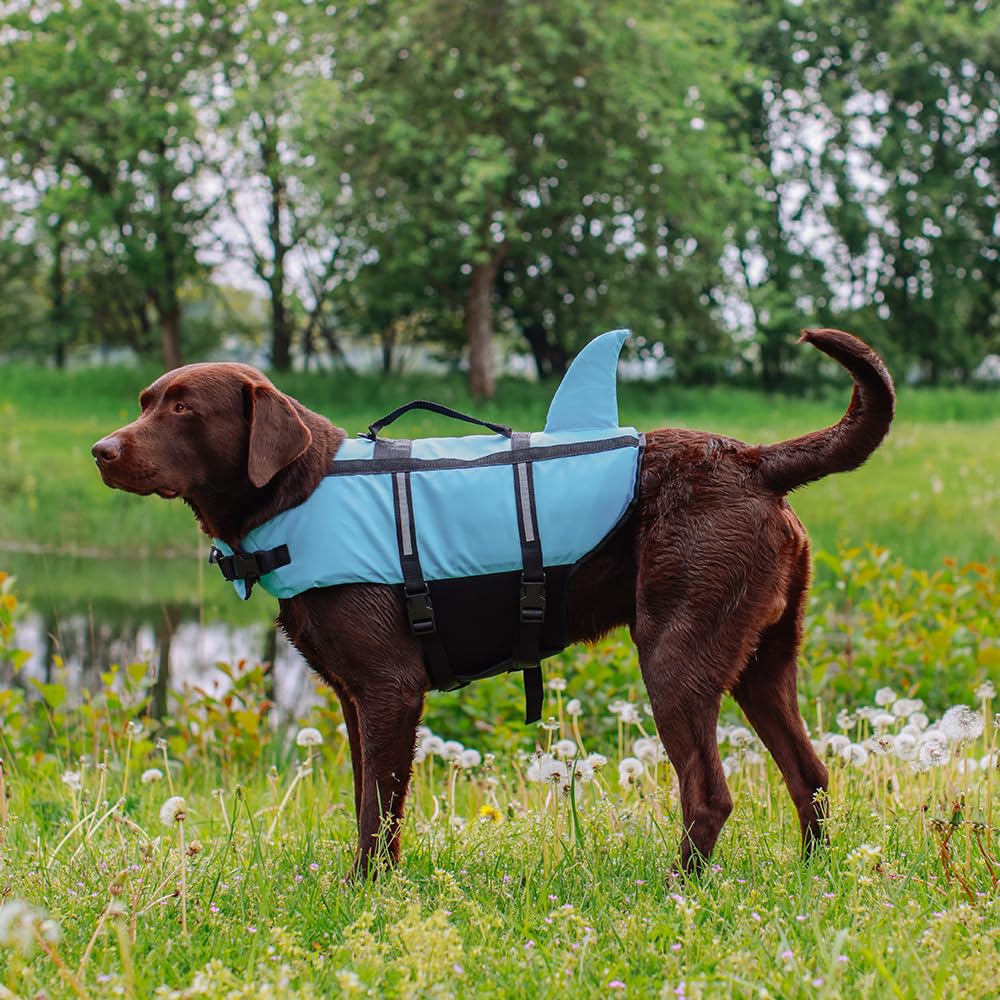 Nobby 61031 Hunde Schwimmhilfe Sharki hellblau Größe: S, 30 cm