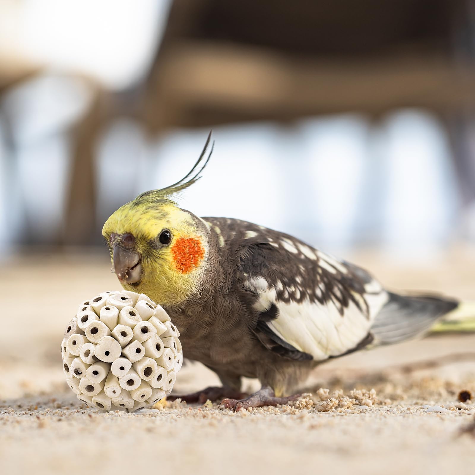 CheurYae 6 pcs Natural Sola Balls Bird Toys Soft Chew Shred Foraging Toy for Parrot Parrotlet Budgie Finch Macaw Hamsters Rabbits - Image 3