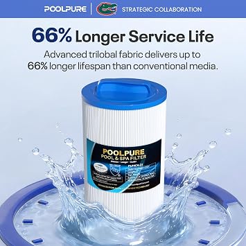 POOLPURE 4CH-21 SPA Filter Replaces PDM25P4 1PACK