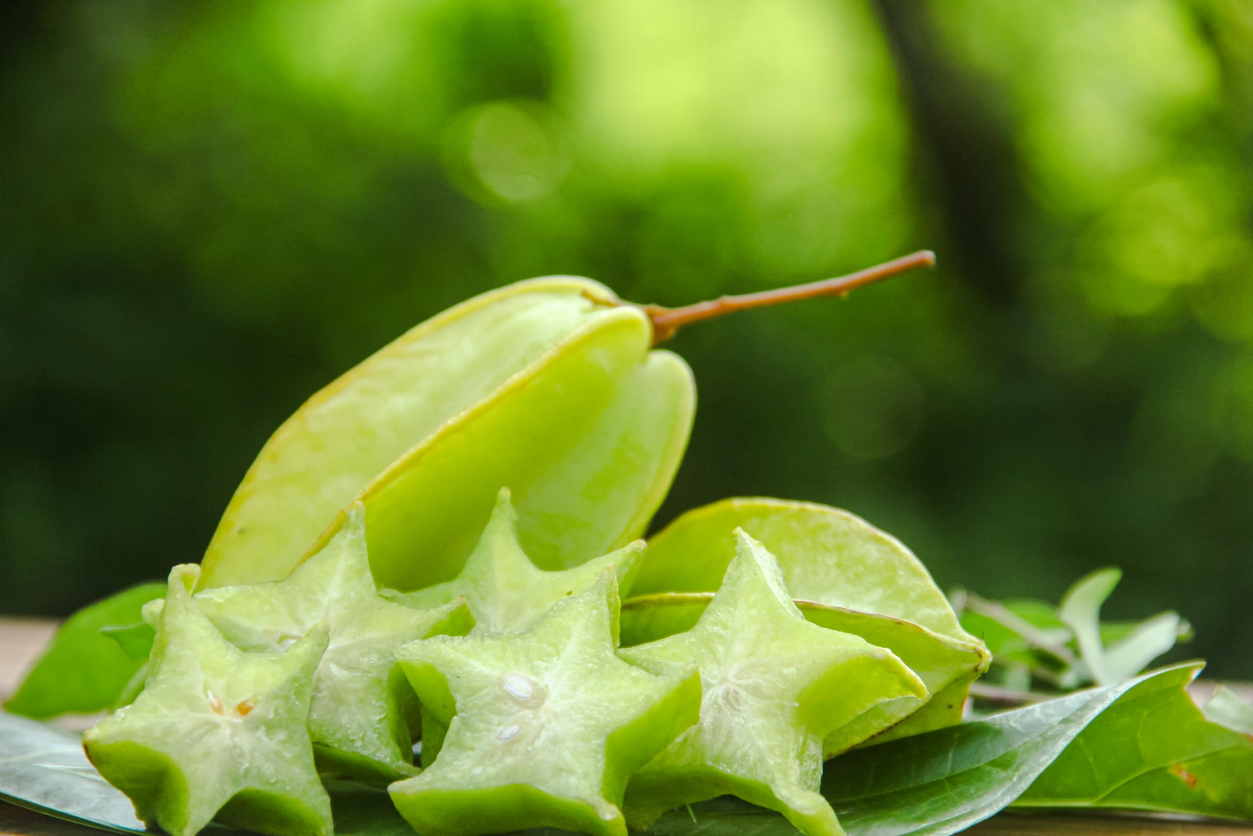 Amazon.com: Fresh Green Star Fruit by RawJoy Farms : Patio, Lawn