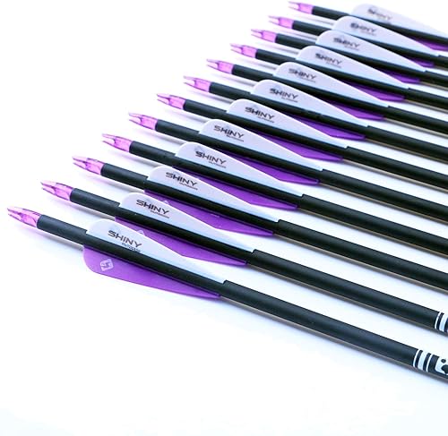 Miniatura 16 de Flecha de carbono de 30 pulgadas con puntas extraíbles para arco compuesto y recurvo (paquete de 12 unidades)