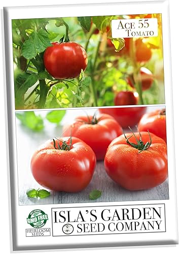 Semillas de tomate "Ace 55" para plantar, más de 150 semillas de reliquia por paquete, semillas de jardín de Isla (semillas de jardín de Isla), sin
