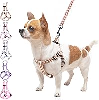 Vista 14 de BEAUTYZOO No Pull Dog Harness and Leash Set - Adjustable Step-in Puppy Harness for Small Medium Large Dogs, Escape Proof Soft Nylon Vest with Double