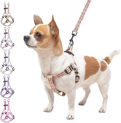 Miniatura 14 de BEAUTYZOO No Pull Dog Harness and Leash Set - Adjustable Step-in Puppy Harness for Small Medium Large Dogs, Escape Proof Soft Nylon Vest with Double