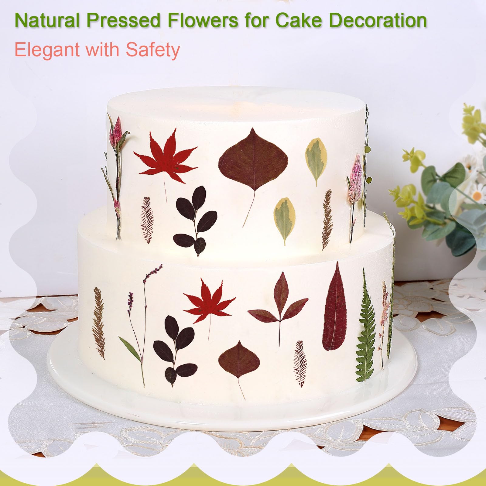 Große, getrocknete gepresste Blätter zum Basteln, echte trockene natürliche Blume, Gänseblümchen für Harzform, Kuchendekoration, Handyhüllen (Herbstblätter)