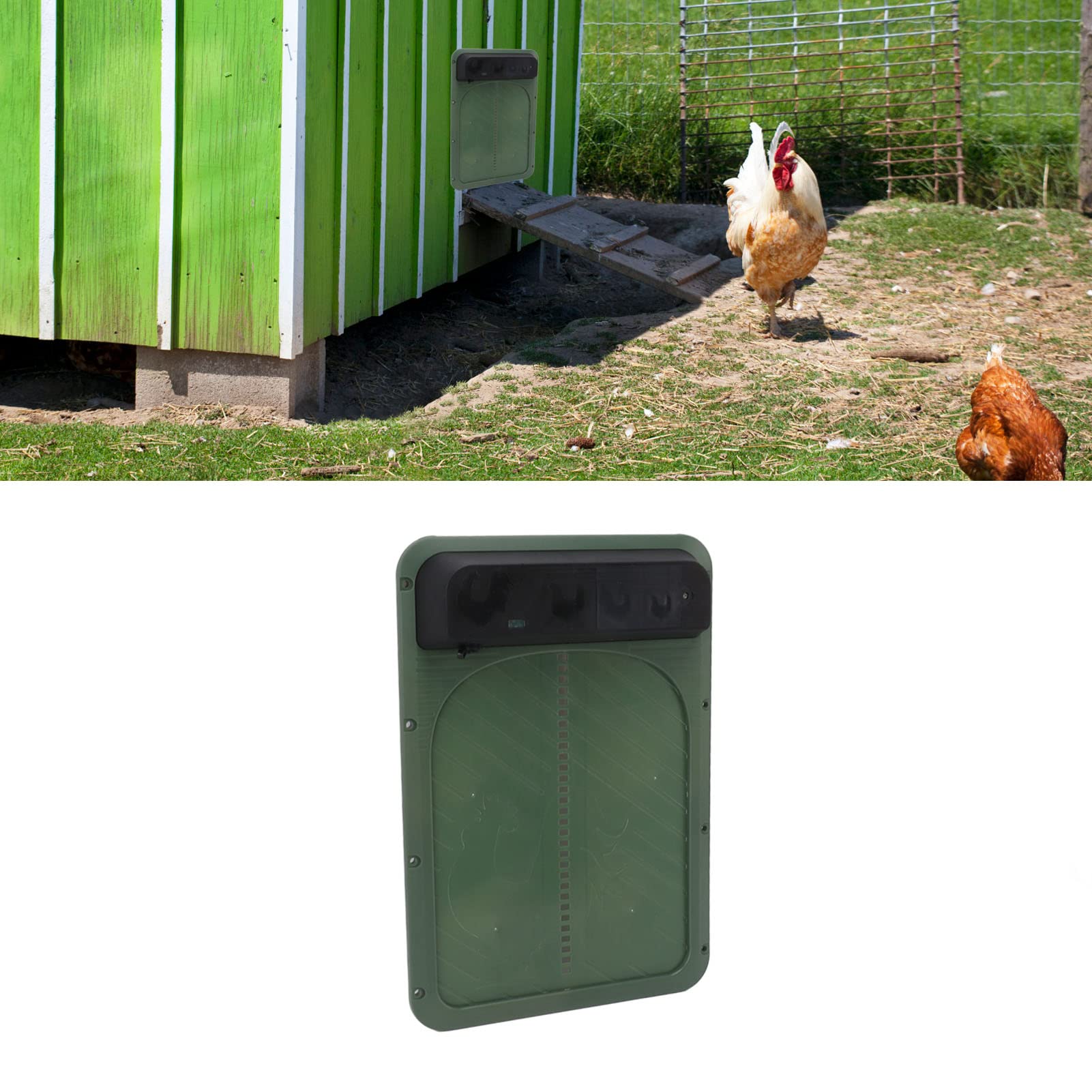 Porta Automatica per Pollaio, Porta per Galline Solare con Sensore di Luce Leggero per Oca (Verde)