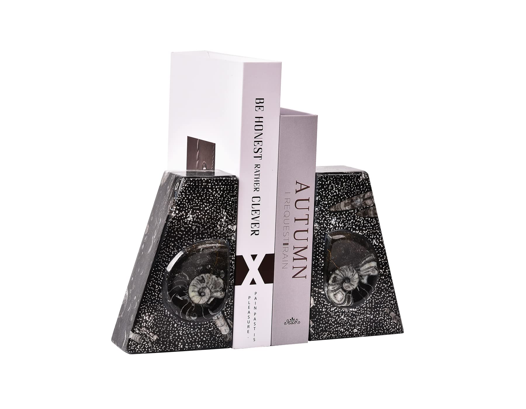 AMOYSTONE 1Pair Decorative Book Ends Natural Orthoceras Fossil Bookends Small 4-5 LBS Trapezoid Morocco Fossil Books Holder Height 4.7