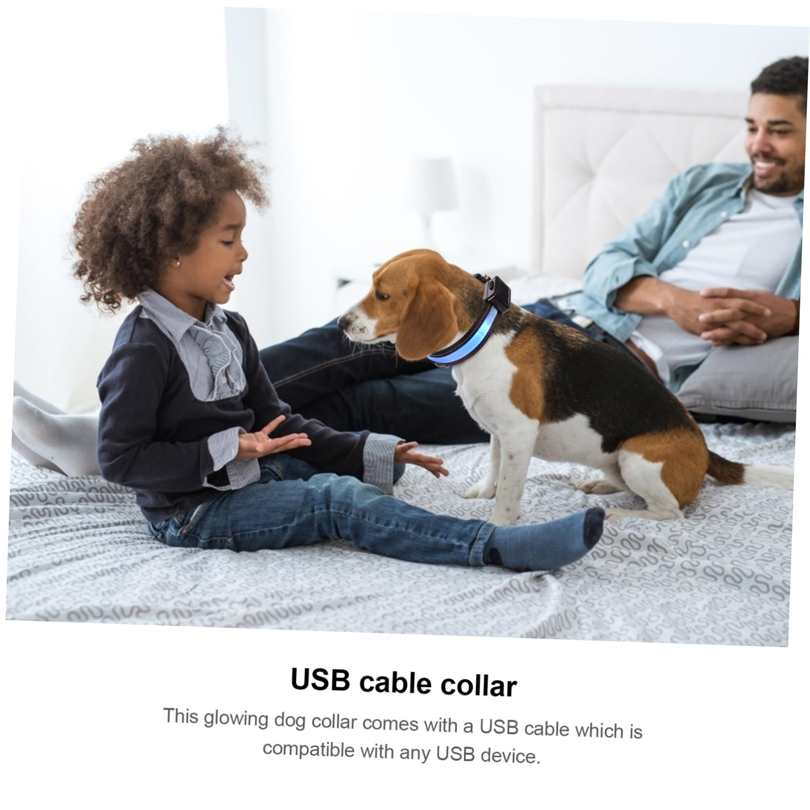 Kisangel 3ensembles Collier LED pour Chien USB Rechargeable Collier Lumineux avec Boucle De Libération pour Promenades Nocturnes Compatible avec Petits Et Chiens
