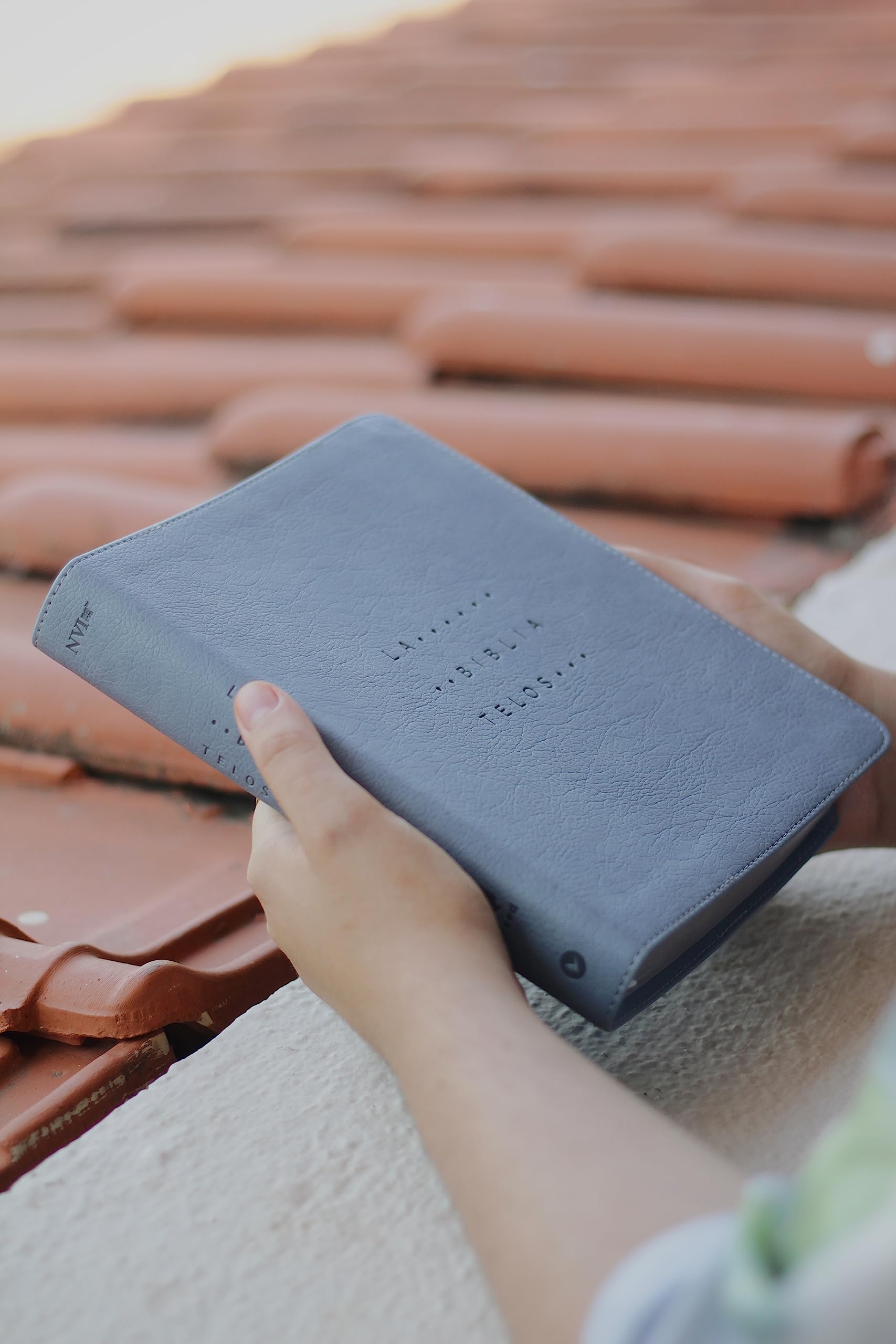 La Biblia Telos para Jóvenes: Nueva Version International, Gris, Leathersoft, Una guía para el estudiante a través de las Escrituras, Comfort Print