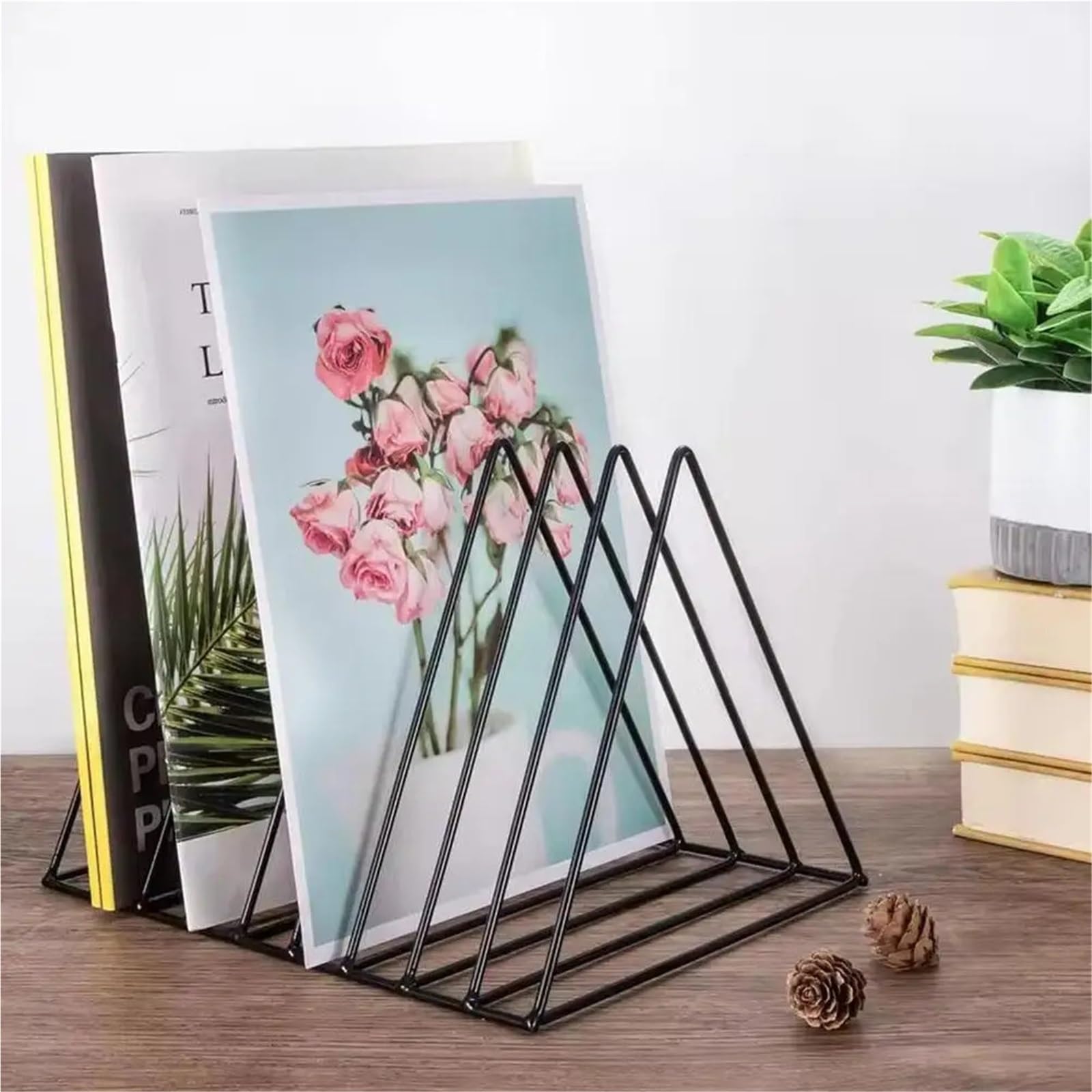 Porta Vinili Rack di stoccaggio for riviste dischi in vinile, display verticale multifunzionale for album collezioni d'arte creativa per Album(Color8)