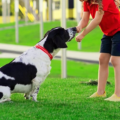 Miniatura 7 de FREADEM Alfombra de césped artificial de 8 x 14 pies, alfombra de césped artificial realista con drenaje, césped para interiores y exteriores para