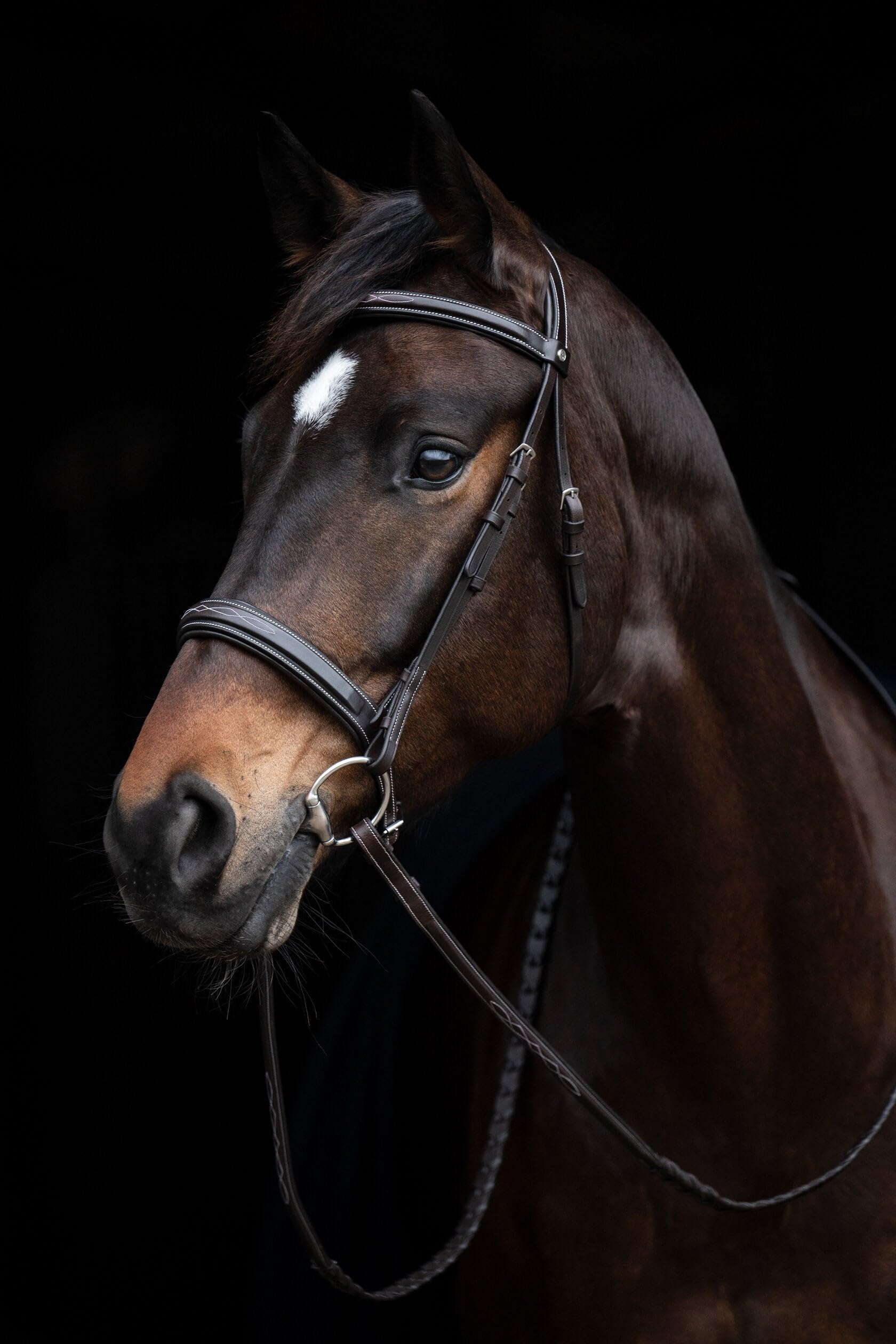 HKM Briglia Hunter 2 - Marrone scuro