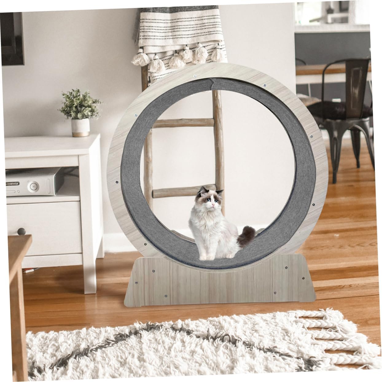 Healifty Non Slip Cat Running Wheel Mat for Indoor Cats Quiet Exercise Pad Replacement Pet Fitness Cushion