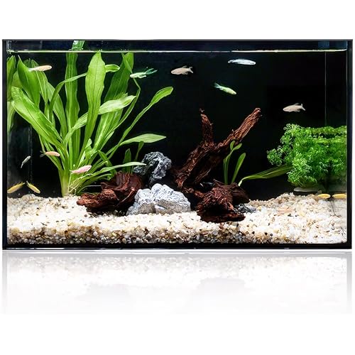 5 Gallon Clear Glass Fish Tank, Easy to Maintain Small Aquariumfor Betta, Goldfish, Snail,Shrimp and Aquatic Planting