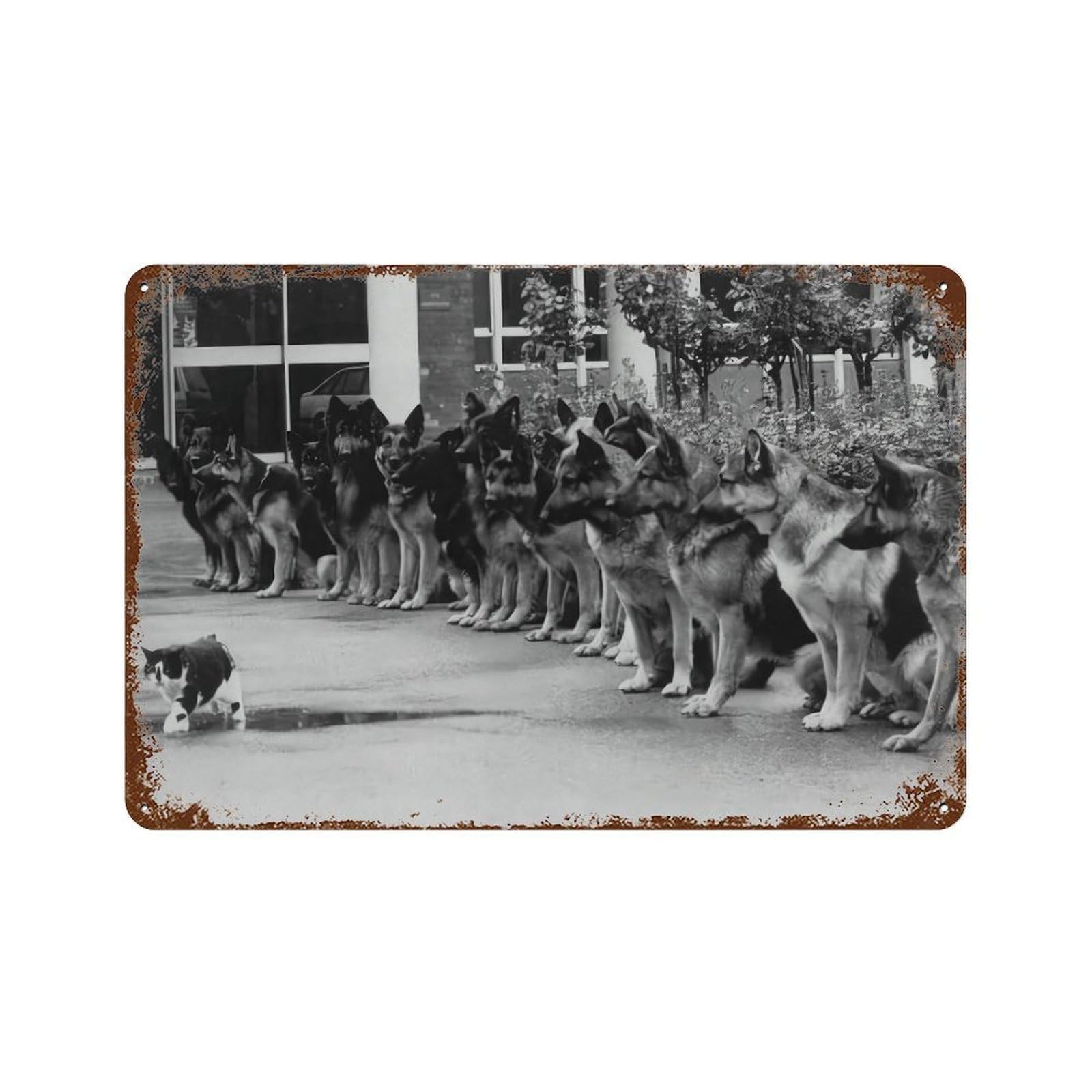 xiaoxiaoshen German Shepherds Staring at Cat Wall Decor Art Metal Tin Poster Modern Home Decor Art Home Bar Shop Decorations Vintage Sign 20x30cm