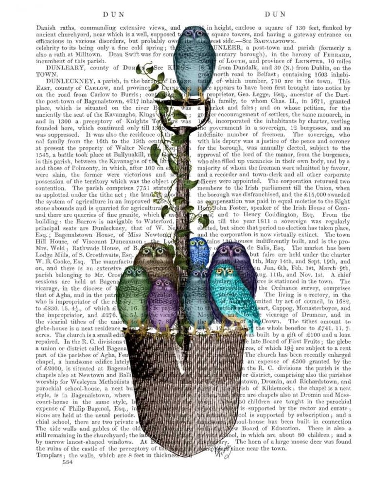 Szpadel ogrodowy i sowy plakat nadruk - Funky Fab (18 x 24)