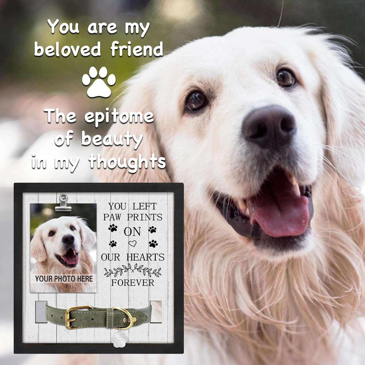 PUREFLY Pet Loss Gift for Loss of Dog, Memorial Sympathy Gifts Pet Memorial Frame, Cat Memorial Gift, You Left paw Prints