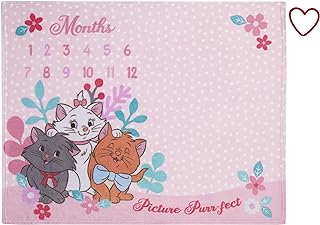 NoJo Disney Aristocats Pink Picture Purr-FECT Super Soft Photo Op Milestone Baby Blanket