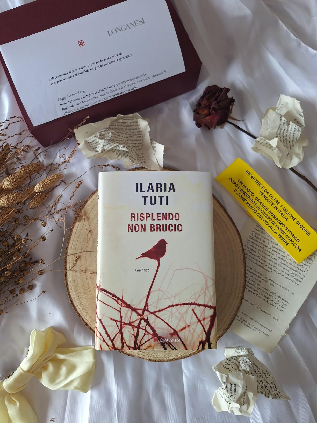 ilaria tuti risplendo non brucio