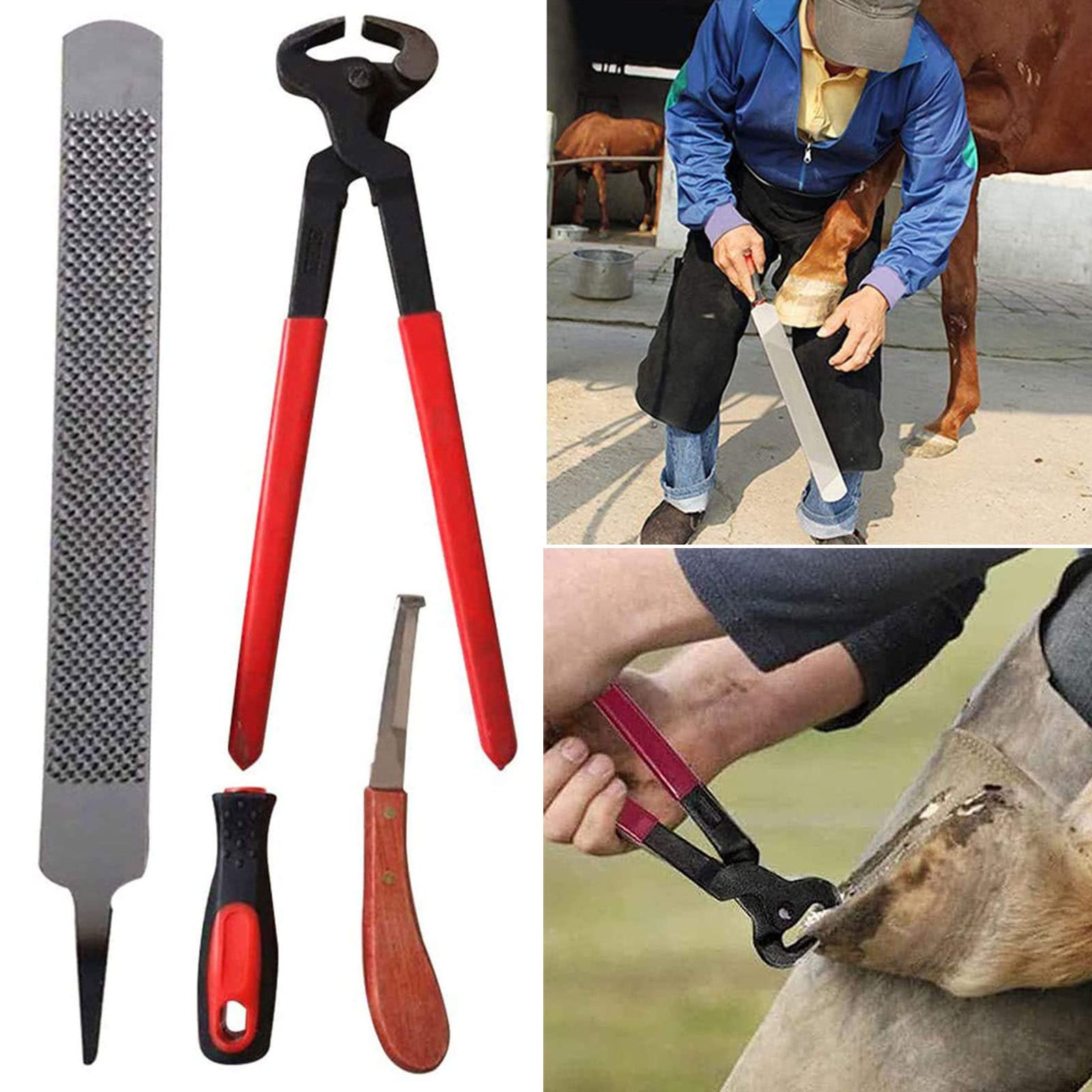 ZH-VBC Kit di Attrezzi per Zoccolo per Cavallo, 3 Pezzi Cavallo Maniscalco Zoccolo Pinza Trim Scarpa File Manico Raspa Strumento Taglierina Zoccolo Accessorio Cura del Cavallo