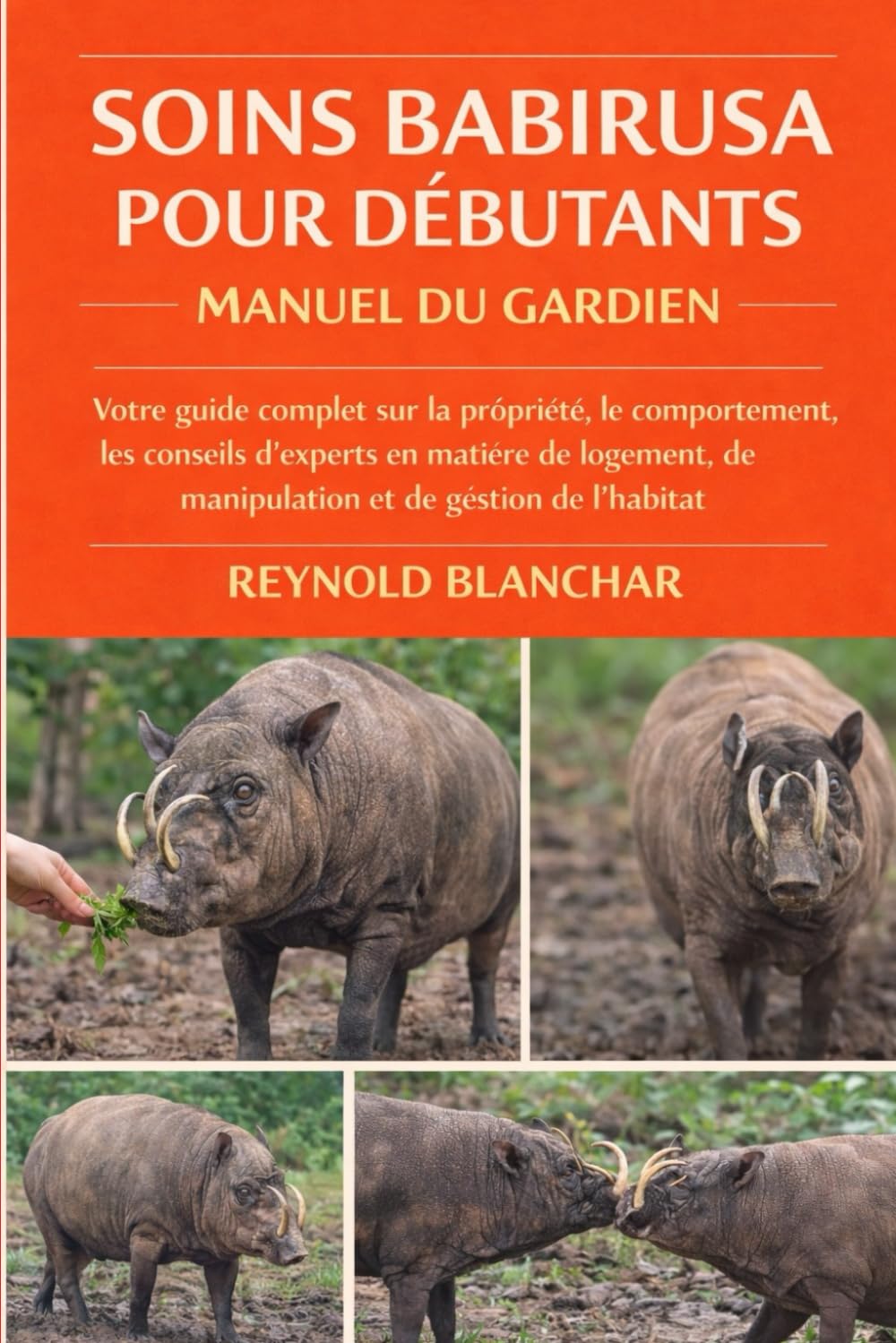 Soins Babirusa pour débutants: Votre guide complet sur la propriété, le comportement, les conseils d'experts en matière de logement, de manipulation et de gestion de l'habitat