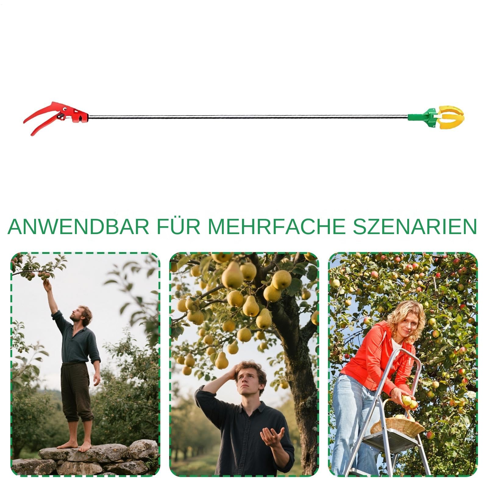 Trident - Barra telescópica para recoger frutas, dispositivo de mano ajustable para cosechar peras, aguacates, cerezas, caquis de hasta 3 metros