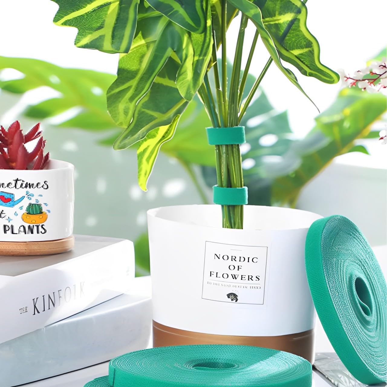 Fascette Per Piante In Velcro 25m - Verde, 10mm, Riutilizzabili, Per Legare Viti, Pomodori, Fiori - Foto 2