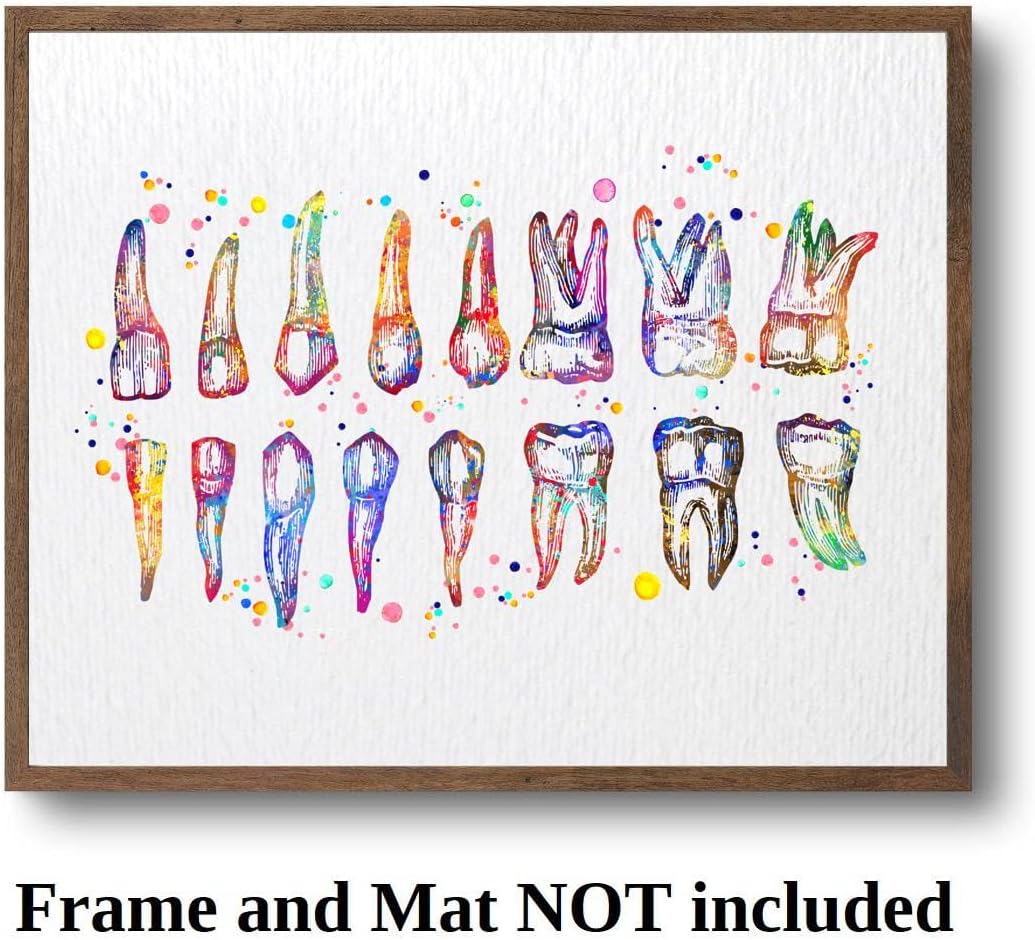 Dignovel Studios 11X14 Unframed Tooth Chart Illustration Dentist Office Dental Watercolor Art Print Poster Wall Hanging Decor DN858