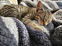 Review Image by Trish