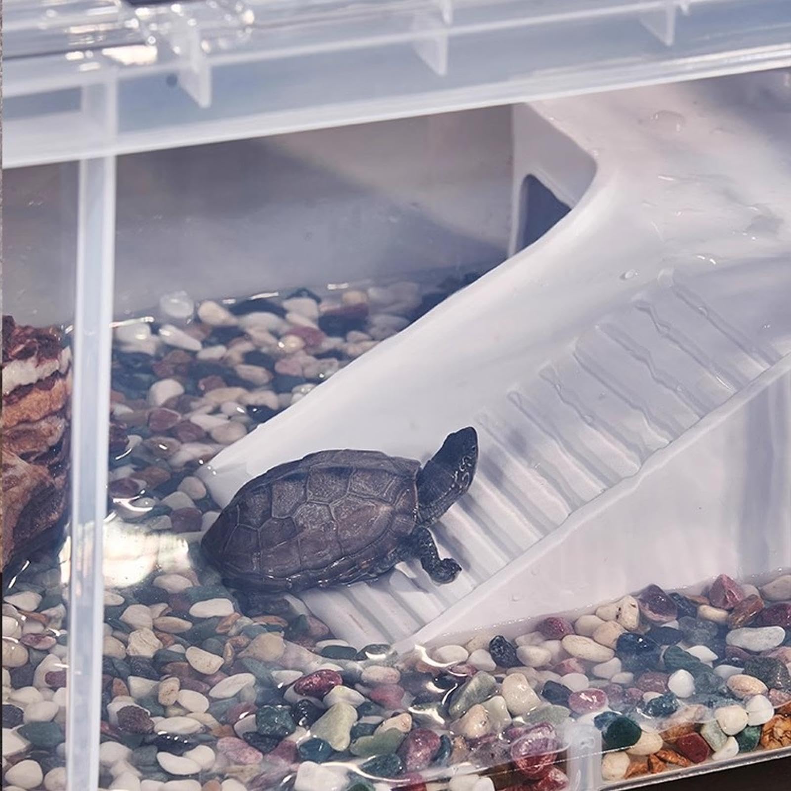 Habitat Tartarughe Terrario Abitativo Trasparente per Testuggini di Terra | Vasca Spaziosa Per Tartarughe Adatto A Casa, Soggiorno, Camera Da , Appartamento, Dormitorio, Ufficio E Aula Scolastica