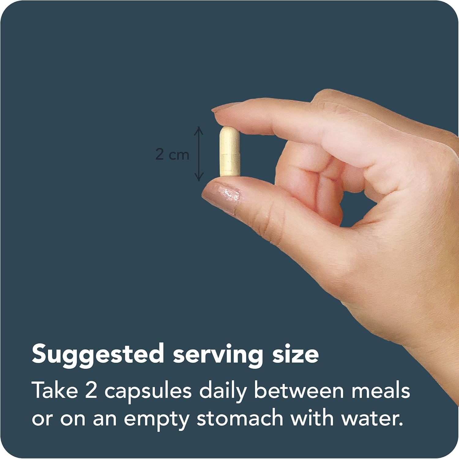 100 Billion CFU 13 Strains, Raw Probiotics with Vitamin C & Zinc for Immune Support, Gut & Digestive Health, with Delayed Release Embocaps - Pro-100 Vitamin Bounty : Health & Household