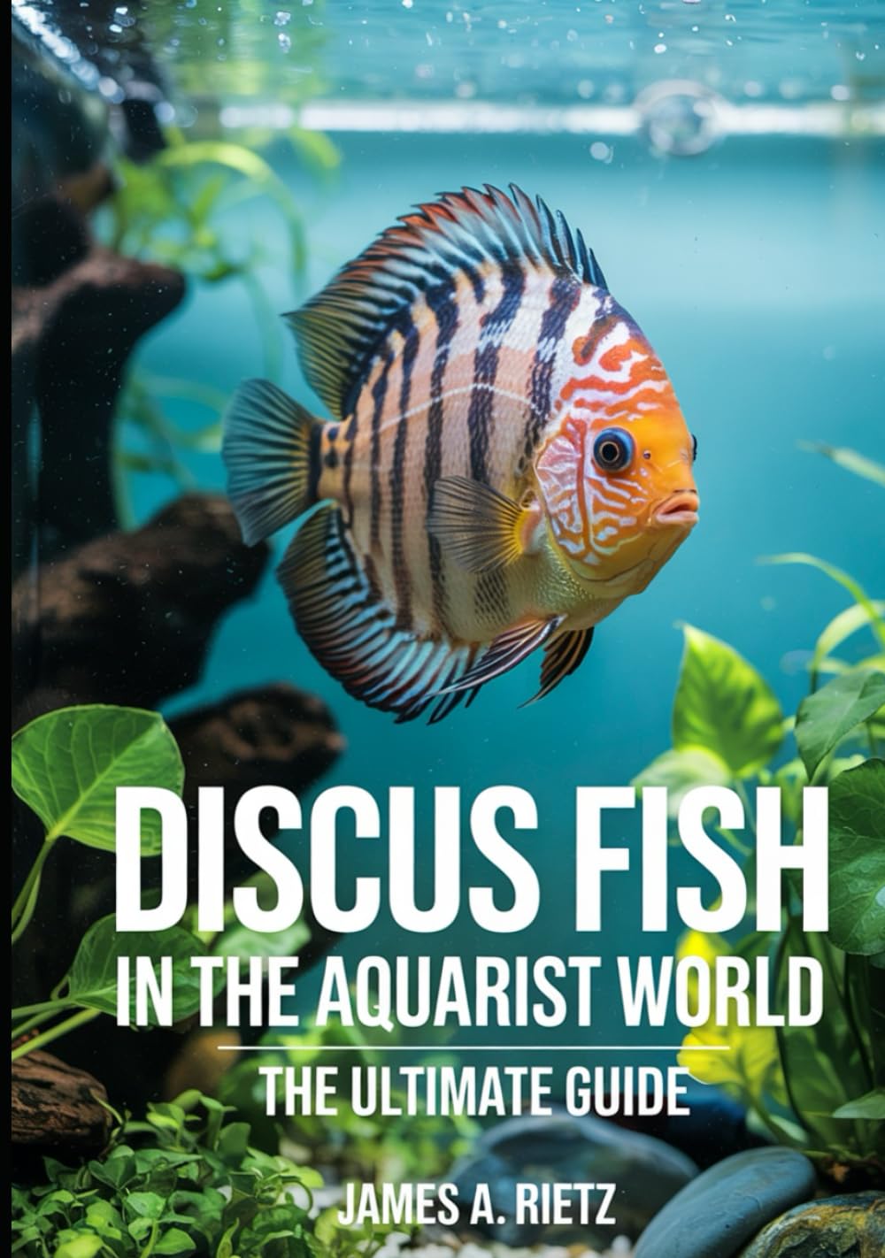 Discus Fish in the Aquaristic World: The Ultimate Guide