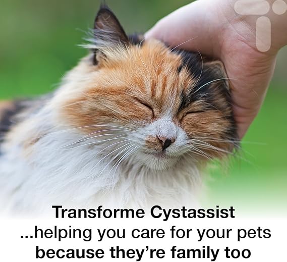 Cat Cystitis Care, Feline Urinary Tract Food Supplement Support, 180 Sprinkle On Capsules for Cats of All Ages, Cystassist by Transforme