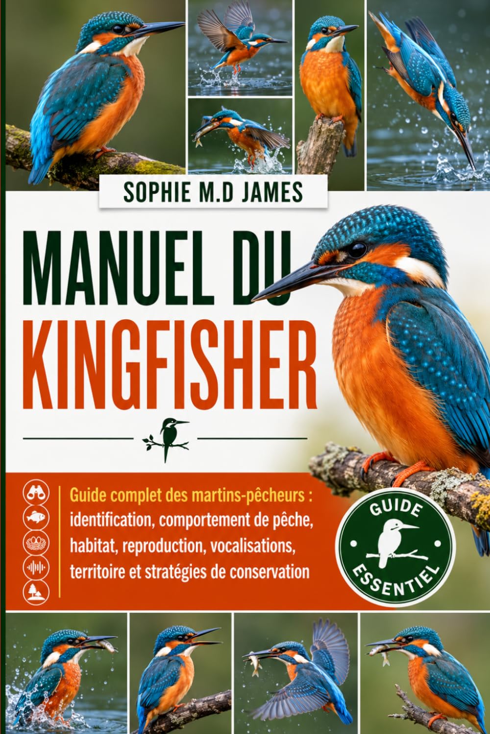 MANUEL DU KINGFISHER: Guide complet des martins-pêcheurs : identification, comportement de pêche, habitat, reproduction, vocalisations, territoire et stratégies de conservation