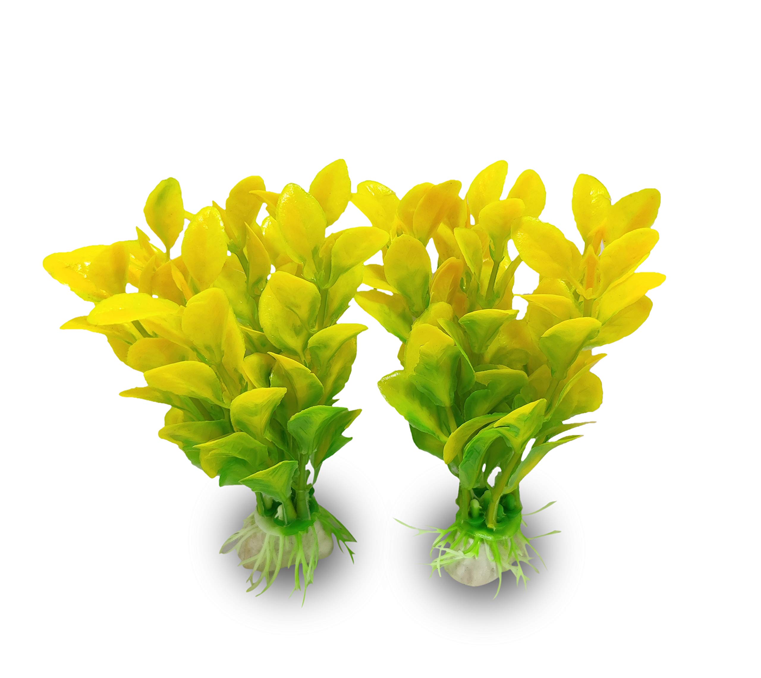Pets Empire Plastic Aquarium Water Plants/Aquatic Grass Size : 4 Inch, 2 Pieces (Color May Vary) (B08XNT8J53) Amazon Price History, Amazon Price Tracker