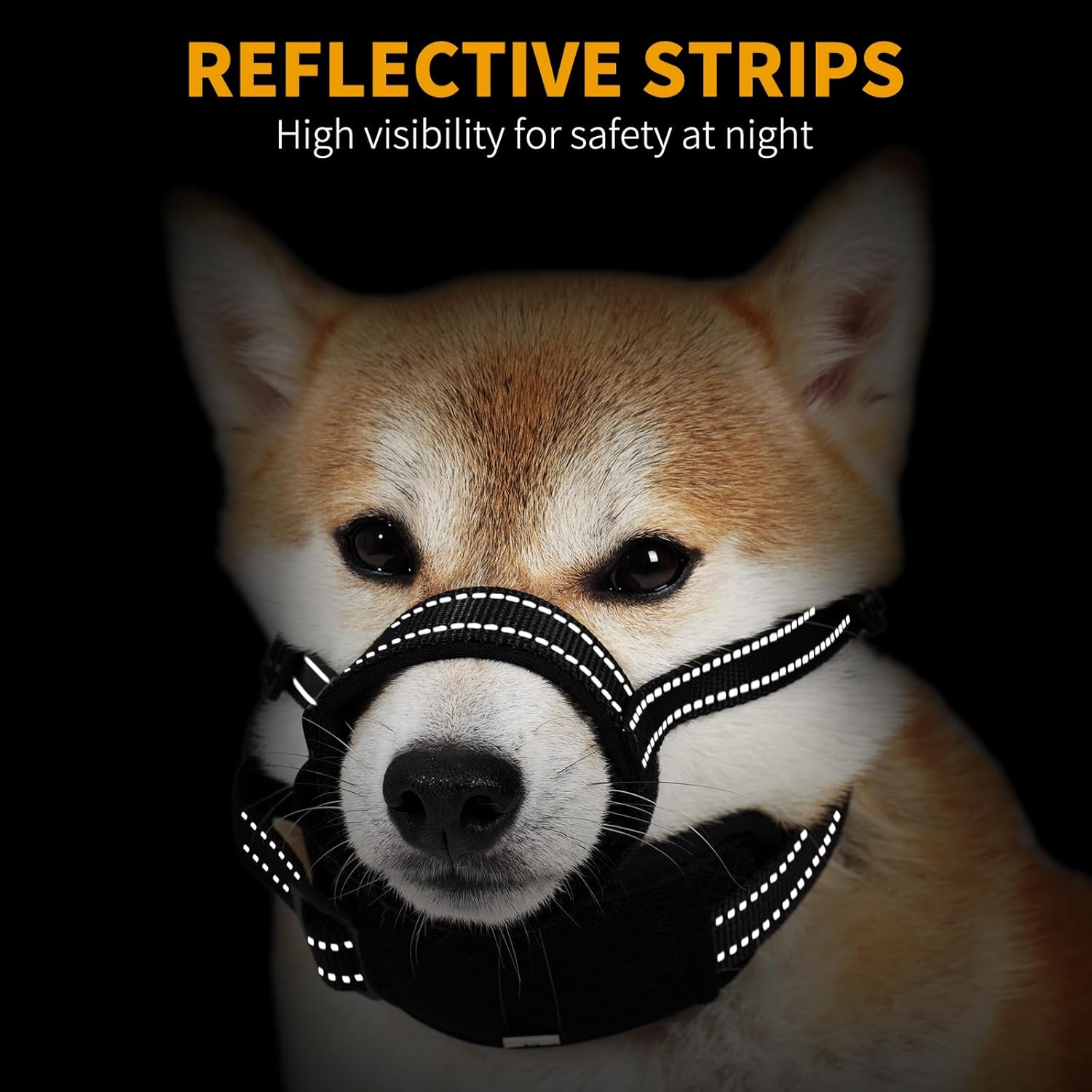 https://m.media-amazon.com/images/I/71oPVmQuzbL._AC_SL1500_.jpg