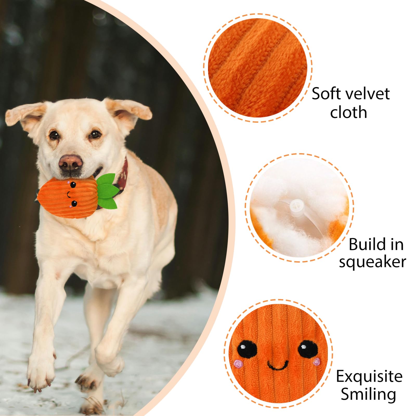 Andiker Carrot Dog Toys - Image 3