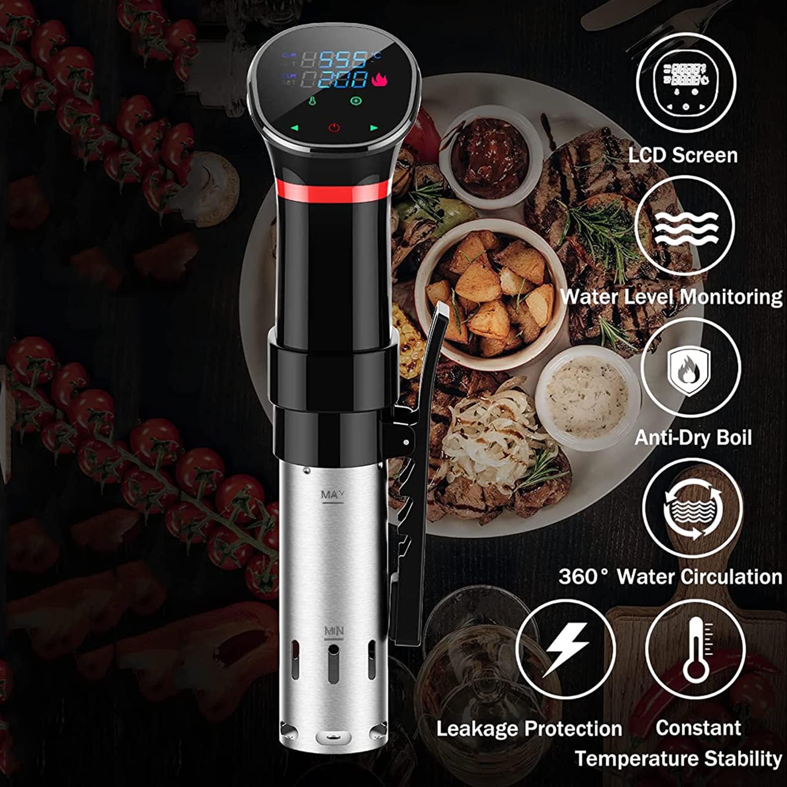 Cuiseur Sous Vide de Précision Circulateur à Immersion avec Minuterie