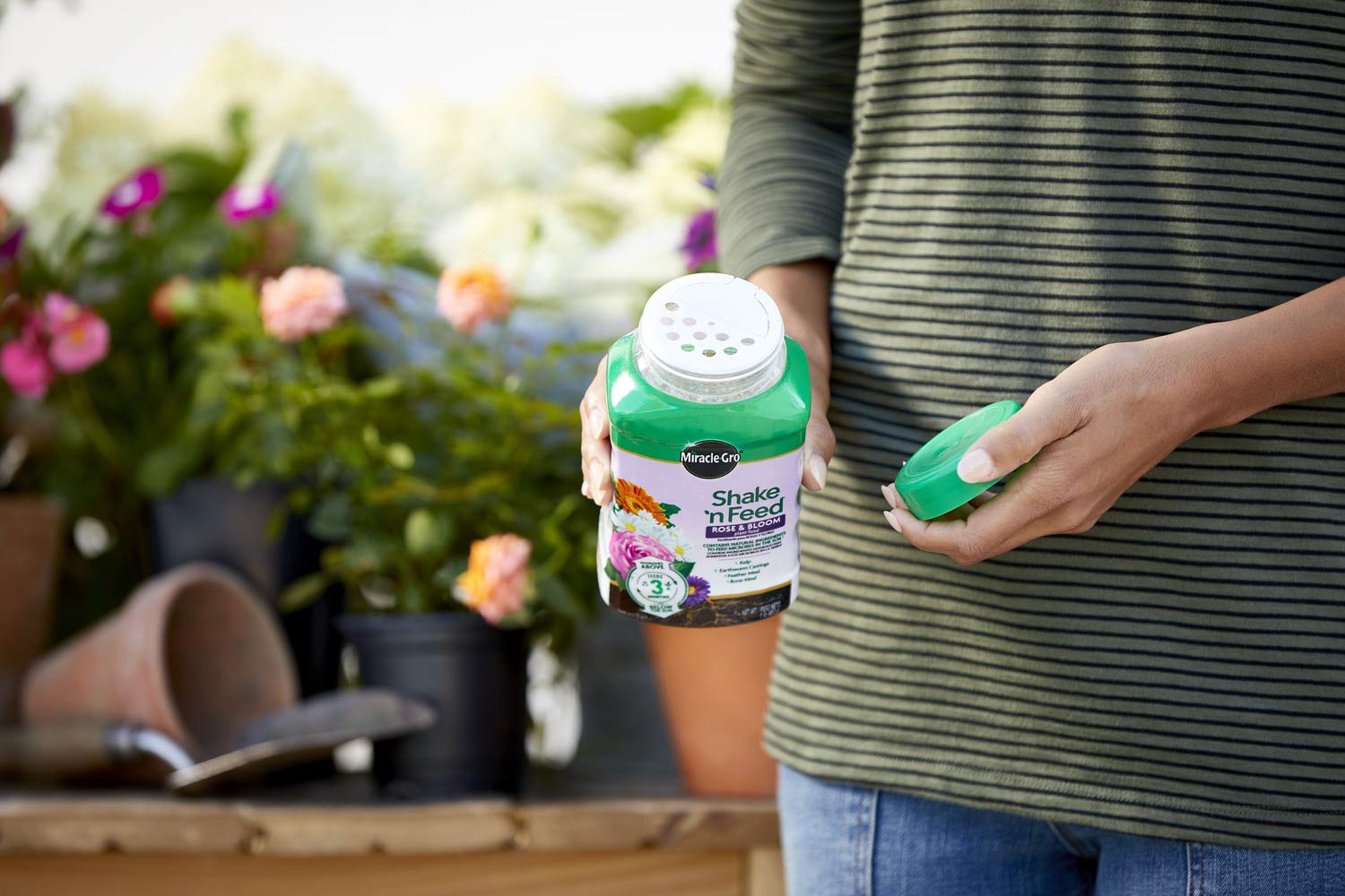 MiracleGro Shake 'n Feed Rose and Bloom Plant Food Promotes More