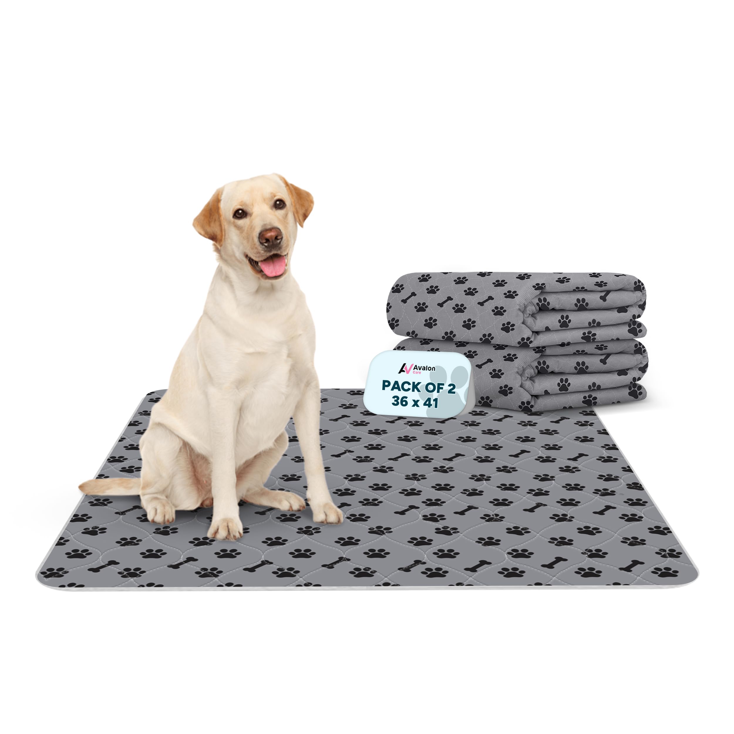 Lot de 2 tapis pour animaux de compagnie 36 x 41