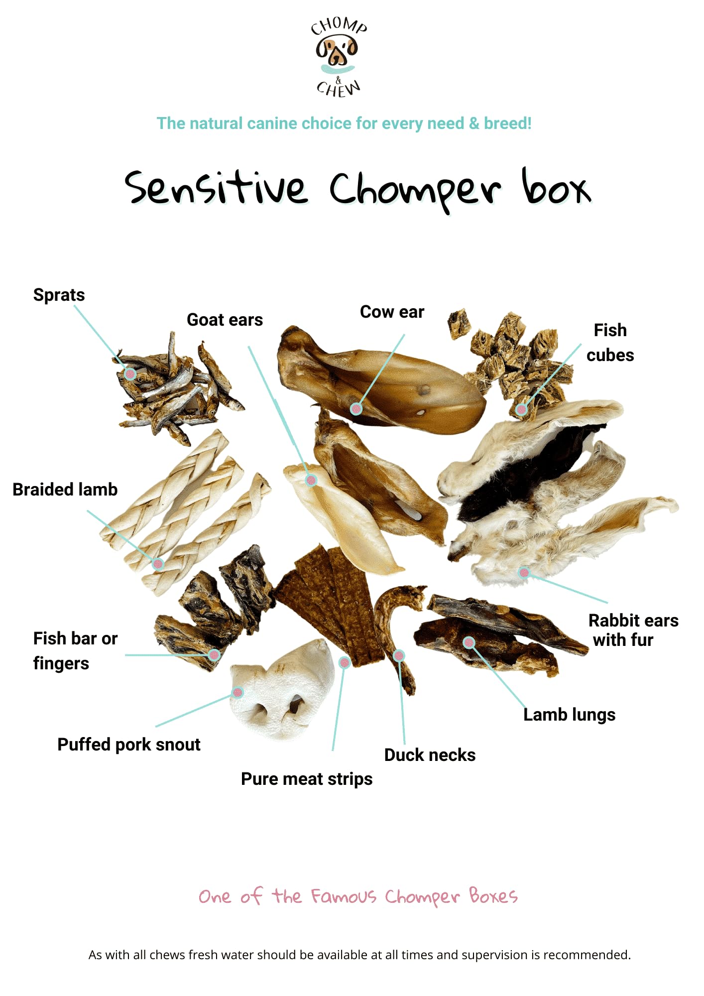 CHOMP & CHEW - Image 3