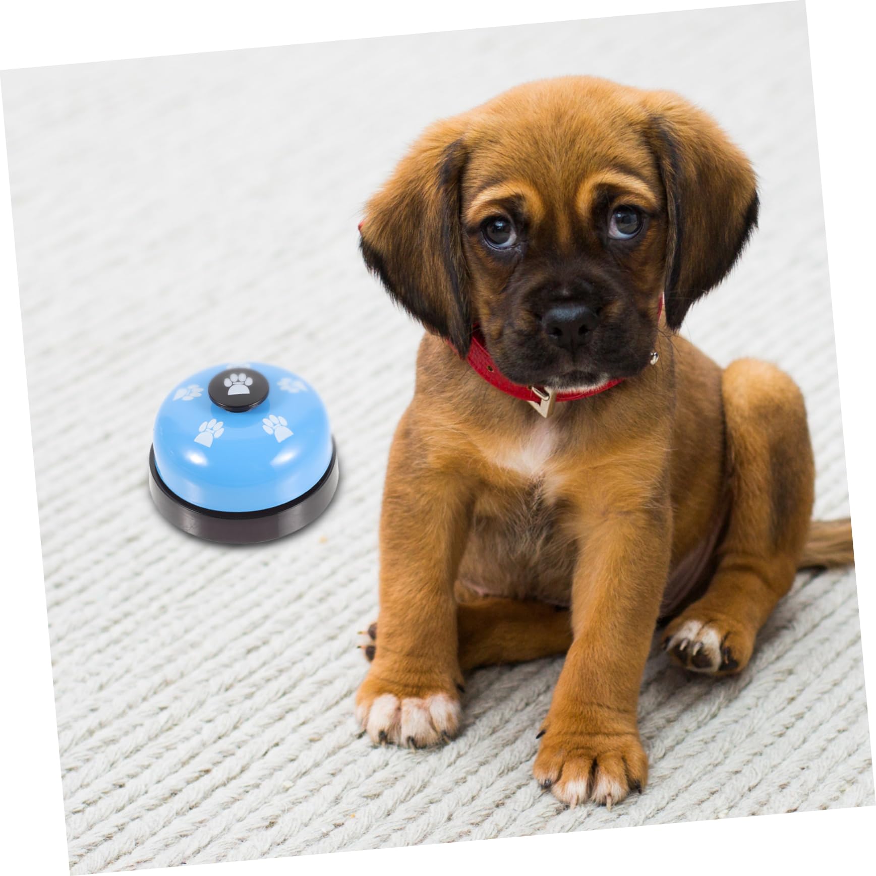 Beavorty Pet Training Press Bell Dog Potty Training Interactive Dog Toys Noise Easy to Use