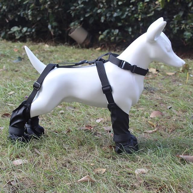 Foto 5 de 8 de iFutniew Botas para perro, impermeables, ajustables, transpirables, para caminar al aire libre