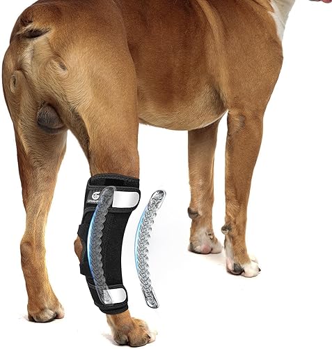Miniatura 9 de Tobillera de pierna trasera para perro para desgarro ACL y CCL, soportes para piernas de perro para pierna trasera con inserciones de resorte