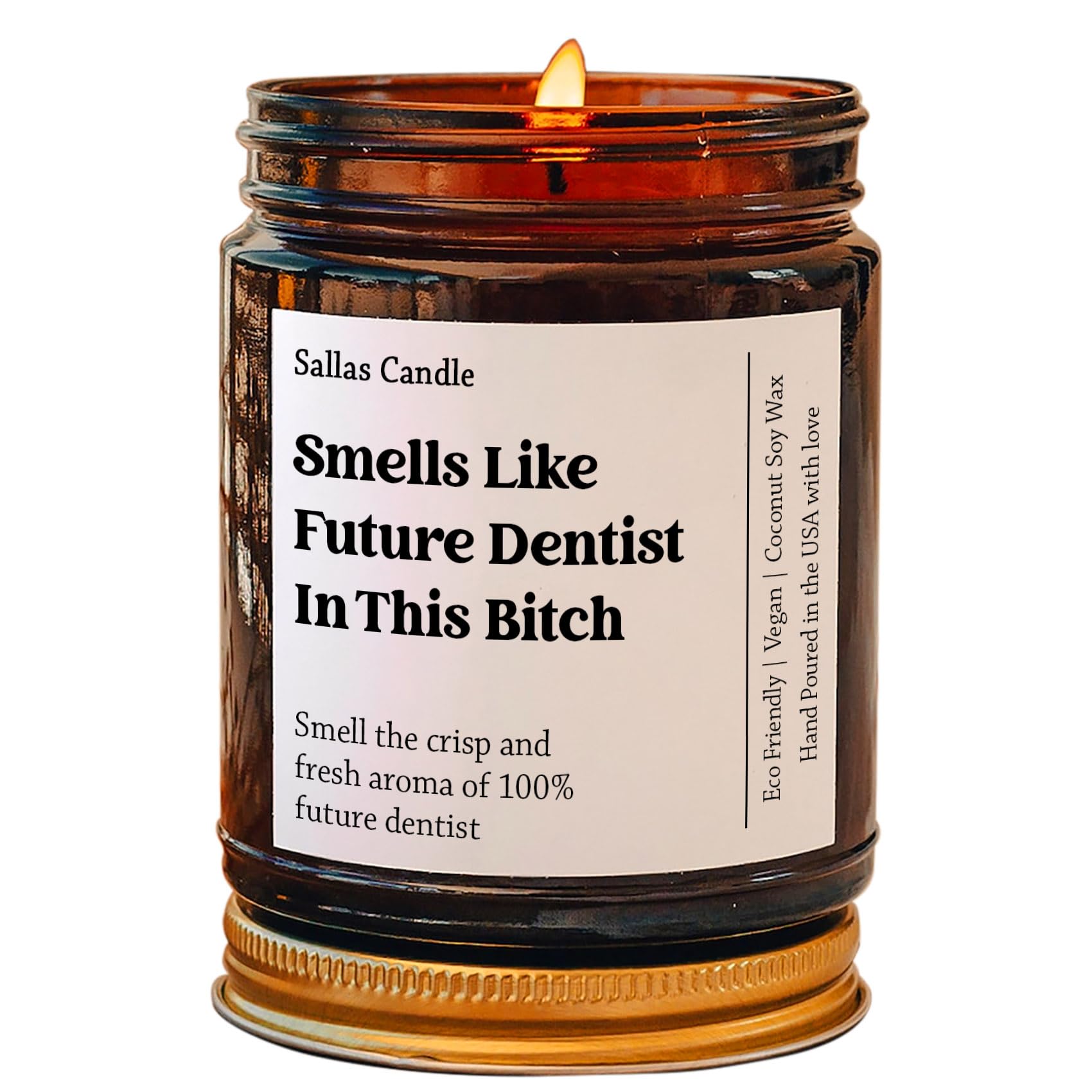 Smells Like Future Dentist in This Bitch Soy Wax Candle, Gift for Dentist, Dental School Gift, Dental Student Gift, Eco Friendly 4Oz 9Oz Amber Candle 9 Scent Options