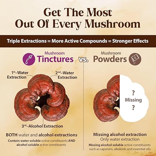 Miniatura 5 de Dragon Herbs Duanwood Reishi Drops • Suplemento de hongos • Montaña cultivada orgánicamente en troncos • Extracciones triples • para inmunidad,