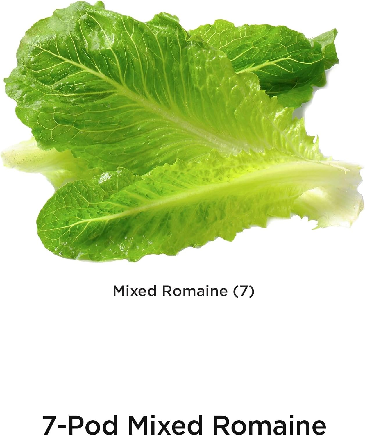 AeroGarden Mixed Romaine Lettuce Seed Pod Kit (7-pod)