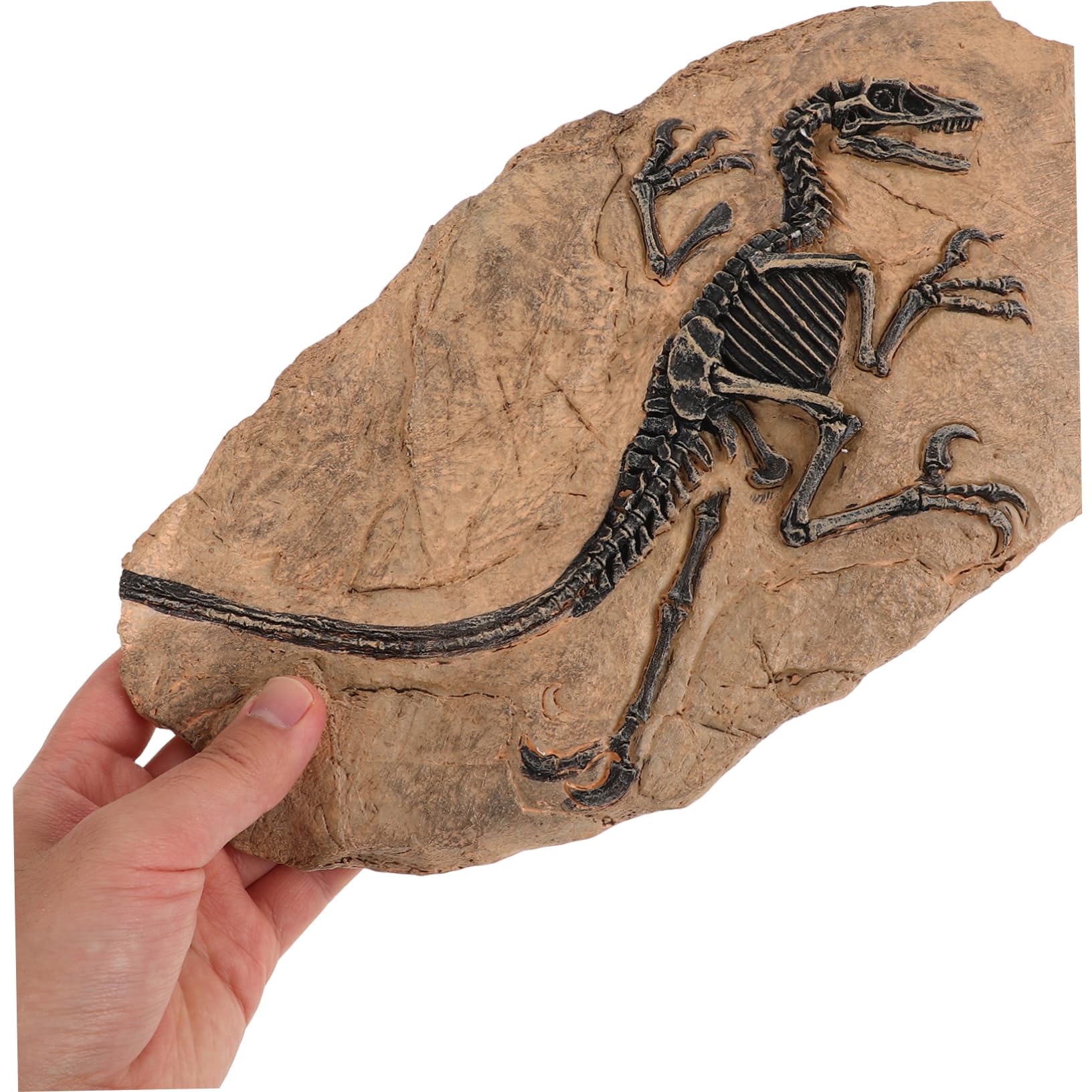 Set Di Ornamenti A Forma Di Dinosauro Per Bambini E Bambine Giocattoli Didattici in Resina Per Il Compleanno
